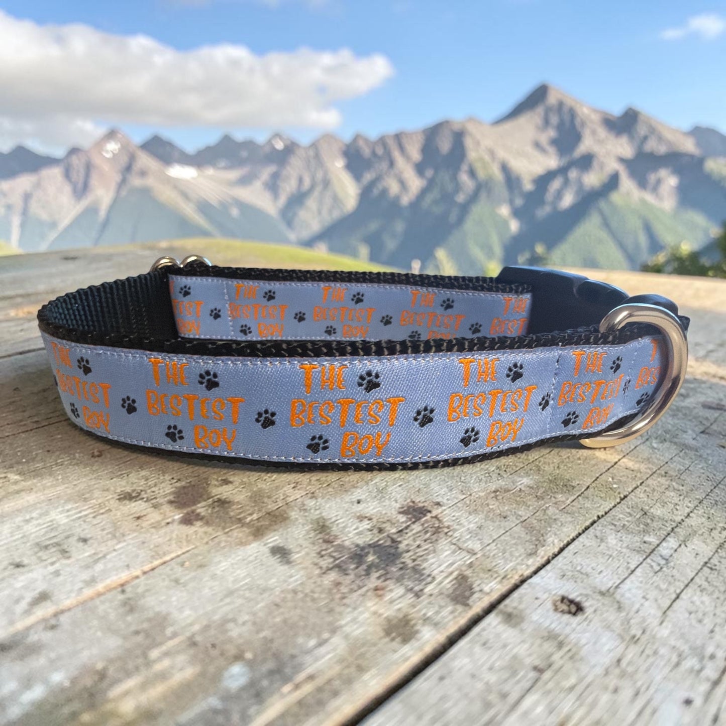 The Bestest Boy Dog Collar - Winni&Me Woofwear