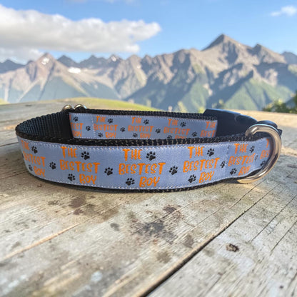The Bestest Boy Dog Collar - Winni&Me Woofwear