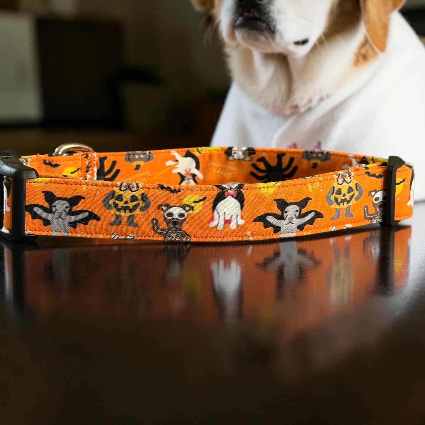 Trick or Treat Pups Dog Collar - Dog Collars - Winni&Me Woofwear